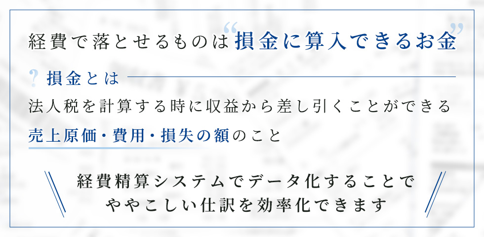 経費で落とせるものは損金に算入できるお金